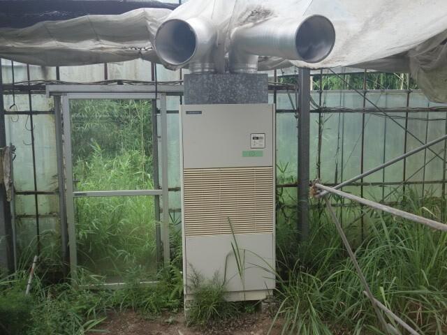 価値のわからない骨董品の査定